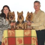 Australian Terrier Breeders Australian Terrier Puppies Australian Terrier Breeders In Washington State Australian Terrier Breeders in Oregon State Australian Terrier Breeders in Colorado State Australian Terrier Rescue Australian Terrier Club of America Australian Terrier International
