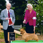 Australian Terrier Breeders Australian Terrier Puppies Australian Terrier Breeders In Washington State Australian Terrier Breeders in Oregon State Australian Terrier Breeders in Colorado State Australian Terrier Rescue Australian Terrier Club of America Australian Terrier International