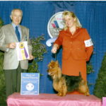 Australian Terrier Breeders Australian Terrier Puppies Australian Terrier Breeders In Washington State Australian Terrier Breeders in Oregon State Australian Terrier Breeders in Colorado State Australian Terrier Rescue Australian Terrier Club of America Australian Terrier International