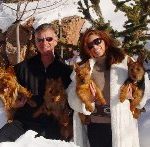 Australian Terrier Breeders Australian Terrier Puppies Australian Terrier Breeders In Washington State Australian Terrier Breeders in Oregon State Australian Terrier Breeders in Colorado State Australian Terrier Rescue Australian Terrier Club of America Australian Terrier International