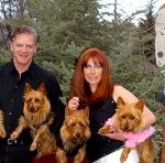 Australian Terrier Breeders Australian Terrier Puppies Australian Terrier Breeders In Washington State Australian Terrier Breeders in Oregon State Australian Terrier Breeders in Colorado State Australian Terrier Rescue Australian Terrier Club of America Australian Terrier International